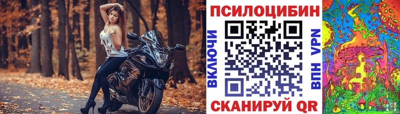 Галлюциногенные грибы Psilocybe darknet клад Лаишево